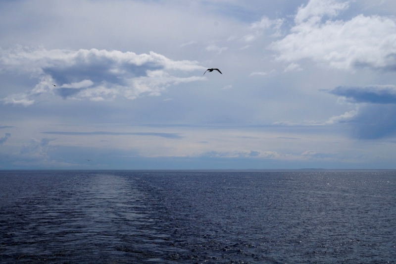 2017, июнь. Опыты по выращиванию туриста. Опыт №9 - из блокадного Ленинграда к жемчужинам Ладоги (Рускеала, Валаам, Тервеничи, свирские вепсы и т.д.)