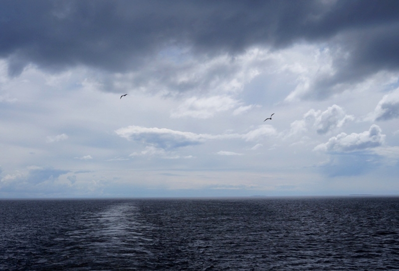 2017, июнь. Опыты по выращиванию туриста. Опыт №9 - из блокадного Ленинграда к жемчужинам Ладоги (Рускеала, Валаам, Тервеничи, свирские вепсы и т.д.)