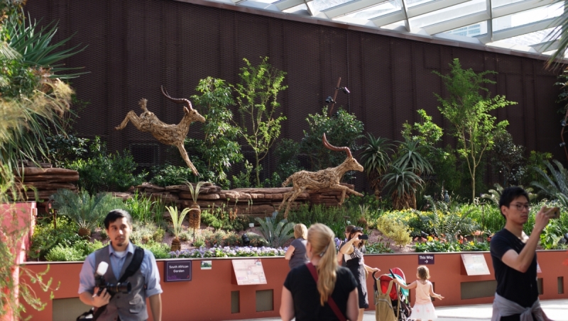 Шесть дней в Сингапуре.