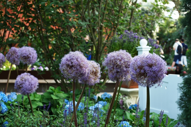 Шесть дней в Сингапуре.