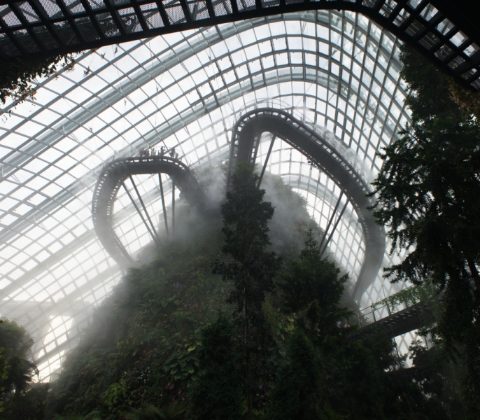 Шесть дней в Сингапуре.