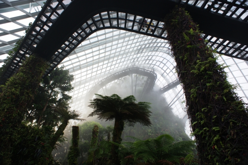 Шесть дней в Сингапуре.