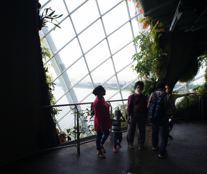 Шесть дней в Сингапуре.