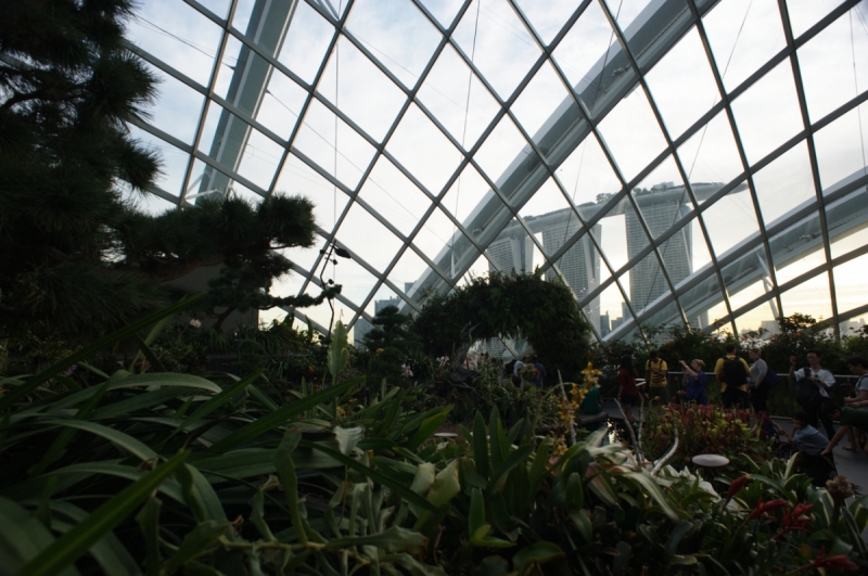 Шесть дней в Сингапуре.