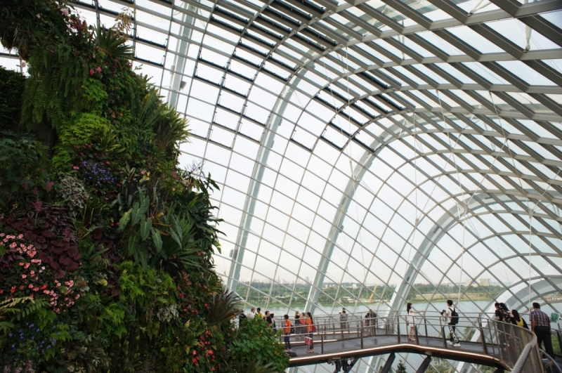 Шесть дней в Сингапуре.