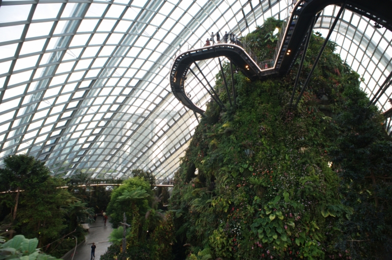 Шесть дней в Сингапуре.