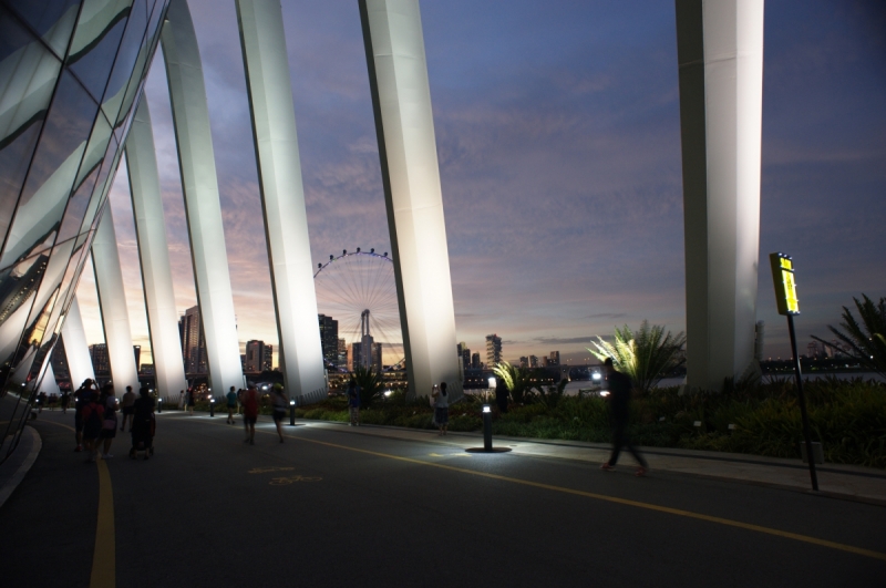 Шесть дней в Сингапуре.