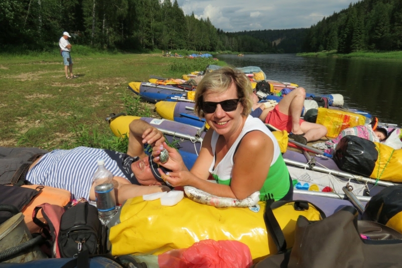 Кошки в нашей жизни. Кошки и все, что с ними связано.