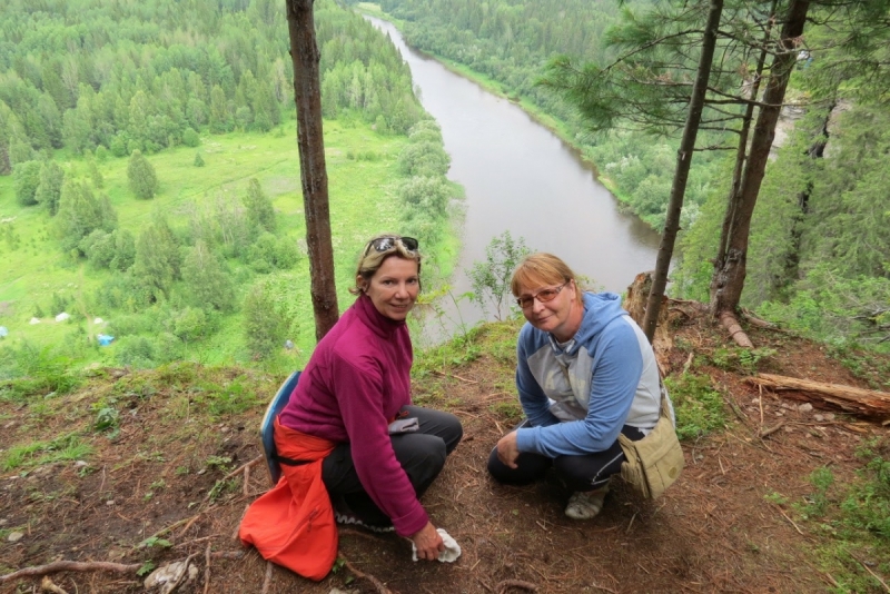 Кошки в нашей жизни. Кошки и все, что с ними связано.