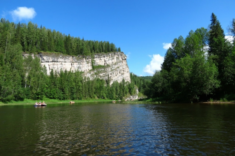 Кошки в нашей жизни. Кошки и все, что с ними связано.