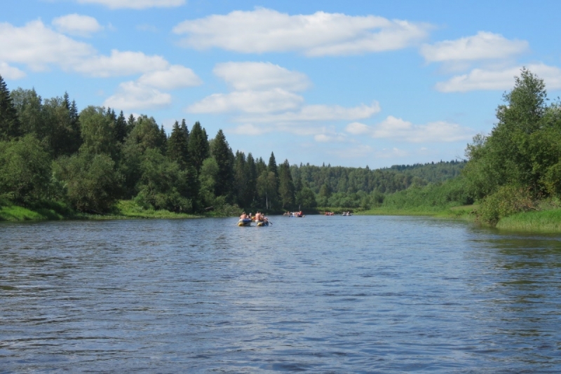 Кошки в нашей жизни. Кошки и все, что с ними связано.