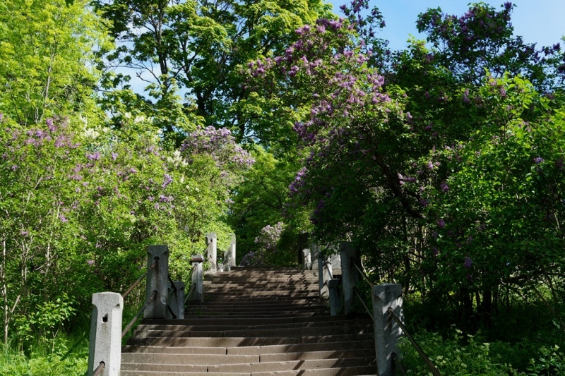 2017, июнь. Опыты по выращиванию туриста. Опыт №9 - из блокадного Ленинграда к жемчужинам Ладоги (Рускеала, Валаам, Тервеничи, свирские вепсы и т.д.)