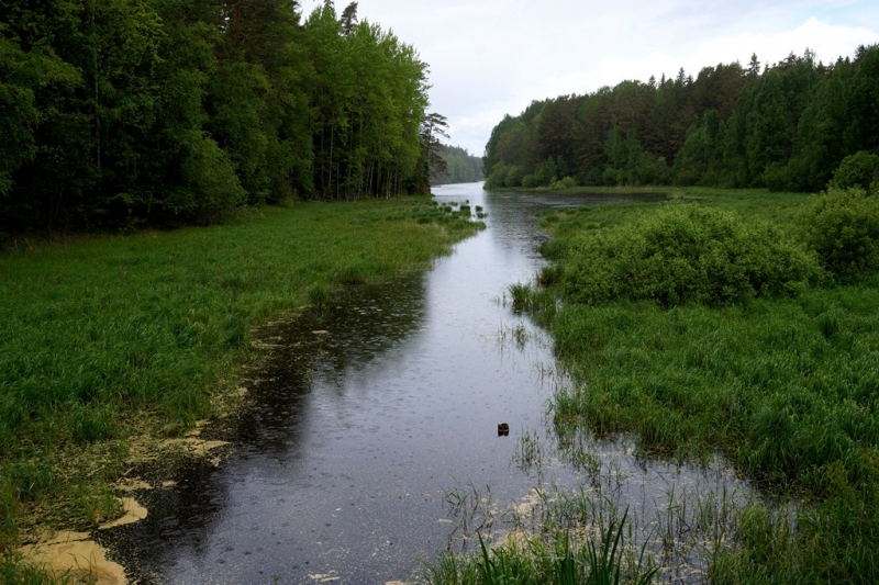 2017, июнь. Опыты по выращиванию туриста. Опыт №9 - из блокадного Ленинграда к жемчужинам Ладоги (Рускеала, Валаам, Тервеничи, свирские вепсы и т.д.)