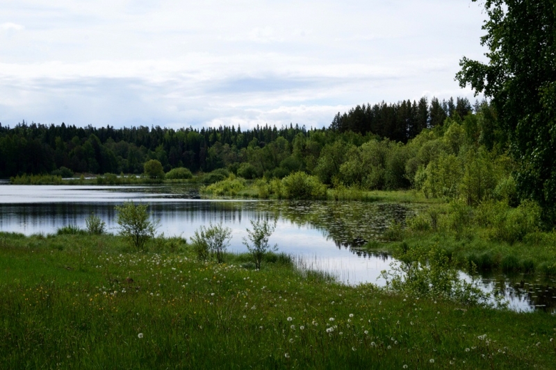 2017, июнь. Опыты по выращиванию туриста. Опыт №9 - из блокадного Ленинграда к жемчужинам Ладоги (Рускеала, Валаам, Тервеничи, свирские вепсы и т.д.)