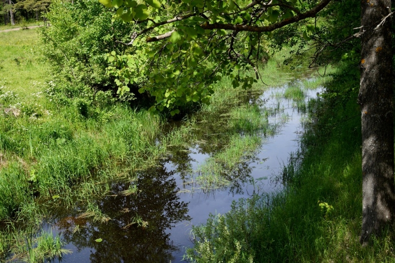 2017, июнь. Опыты по выращиванию туриста. Опыт №9 - из блокадного Ленинграда к жемчужинам Ладоги (Рускеала, Валаам, Тервеничи, свирские вепсы и т.д.)