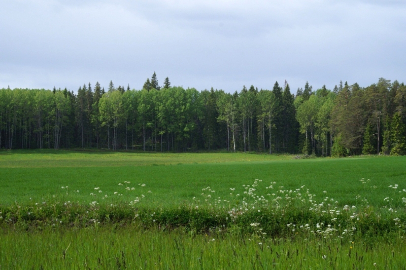 2017, июнь. Опыты по выращиванию туриста. Опыт №9 - из блокадного Ленинграда к жемчужинам Ладоги (Рускеала, Валаам, Тервеничи, свирские вепсы и т.д.)