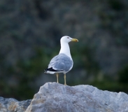 Путешествие "Швейцария-Италия" в июле 2011г.