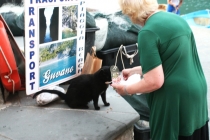 Путешествие "Швейцария-Италия" в июле 2011г.