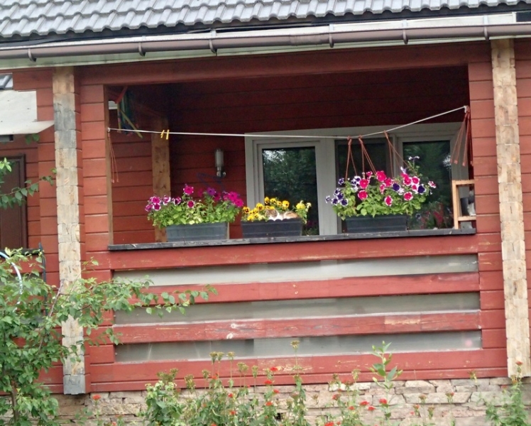 Кошки в нашей жизни. Кошки и все, что с ними связано.