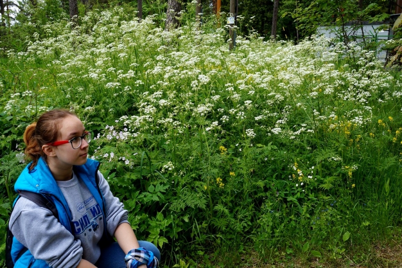 2017, июнь. Опыты по выращиванию туриста. Опыт №9 - из блокадного Ленинграда к жемчужинам Ладоги (Рускеала, Валаам, Тервеничи, свирские вепсы и т.д.)