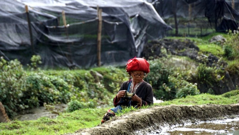 Sapa waterfalls