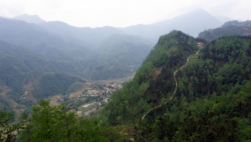 Sapa