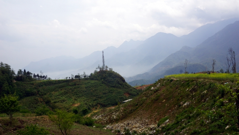 Sapa