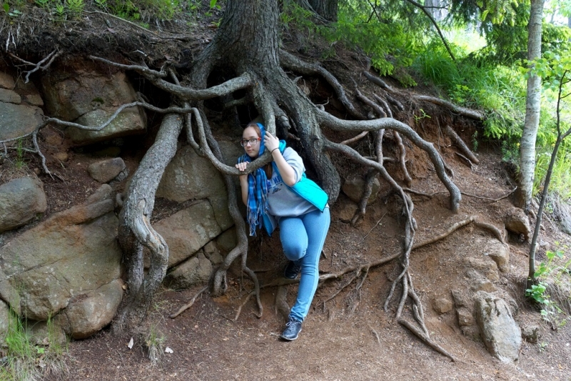 2017, июнь. Опыты по выращиванию туриста. Опыт №9 - из блокадного Ленинграда к жемчужинам Ладоги (Рускеала, Валаам, Тервеничи, свирские вепсы и т.д.)