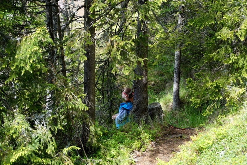 2017, июнь. Опыты по выращиванию туриста. Опыт №9 - из блокадного Ленинграда к жемчужинам Ладоги (Рускеала, Валаам, Тервеничи, свирские вепсы и т.д.)