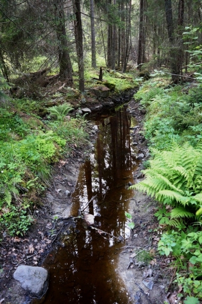 2017, июнь. Опыты по выращиванию туриста. Опыт №9 - из блокадного Ленинграда к жемчужинам Ладоги (Рускеала, Валаам, Тервеничи, свирские вепсы и т.д.)
