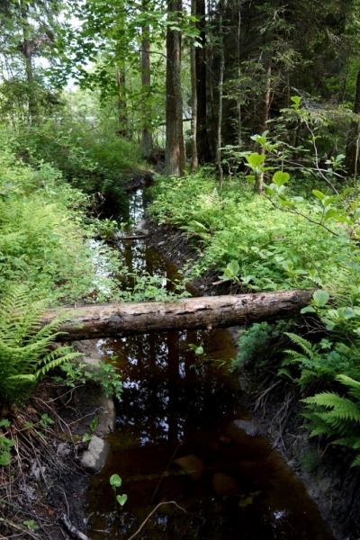 2017, июнь. Опыты по выращиванию туриста. Опыт №9 - из блокадного Ленинграда к жемчужинам Ладоги (Рускеала, Валаам, Тервеничи, свирские вепсы и т.д.)