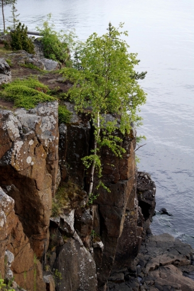 2017, июнь. Опыты по выращиванию туриста. Опыт №9 - из блокадного Ленинграда к жемчужинам Ладоги (Рускеала, Валаам, Тервеничи, свирские вепсы и т.д.)