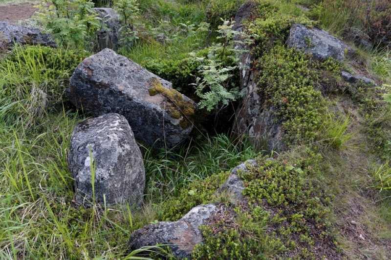 2017, июнь. Опыты по выращиванию туриста. Опыт №9 - из блокадного Ленинграда к жемчужинам Ладоги (Рускеала, Валаам, Тервеничи, свирские вепсы и т.д.)