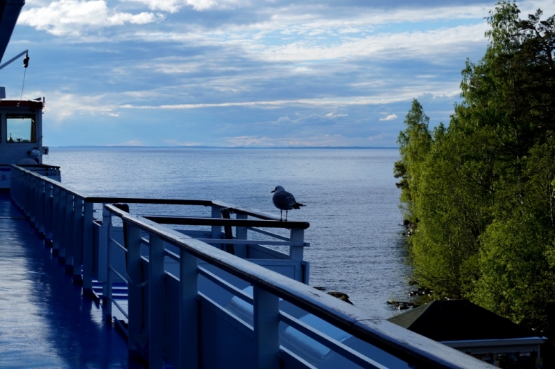 2017, июнь. Опыты по выращиванию туриста. Опыт №9 - из блокадного Ленинграда к жемчужинам Ладоги (Рускеала, Валаам, Тервеничи, свирские вепсы и т.д.)