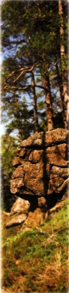 2017, июнь. Опыты по выращиванию туриста. Опыт №9 - из блокадного Ленинграда к жемчужинам Ладоги (Рускеала, Валаам, Тервеничи, свирские вепсы и т.д.)