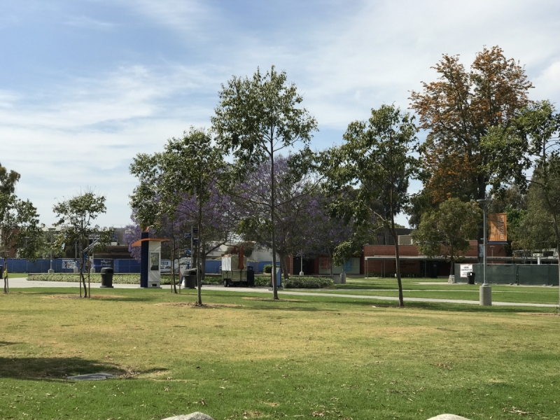 Большие города . Запад и Восток США