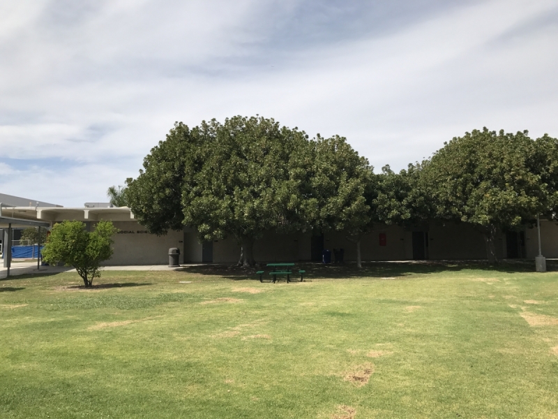 Большие города . Запад и Восток США