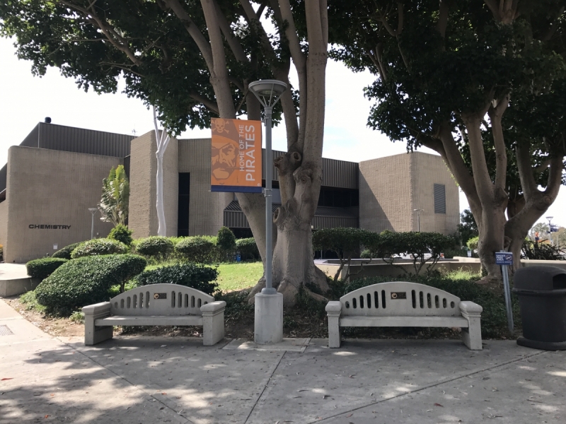 Большие города . Запад и Восток США