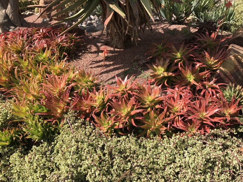 Большие города . Запад и Восток США