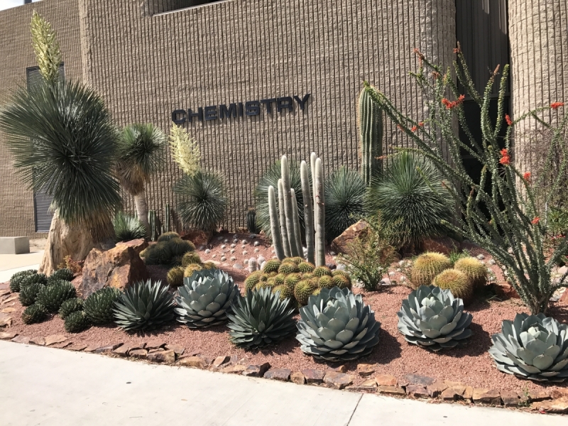 Большие города . Запад и Восток США