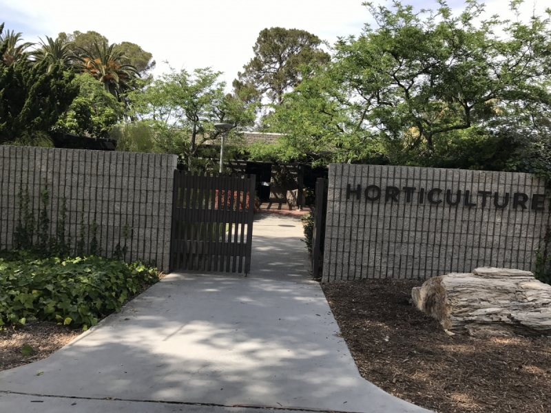 Большие города . Запад и Восток США