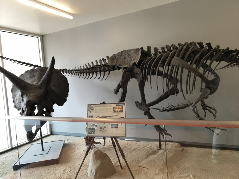 Большие города . Запад и Восток США