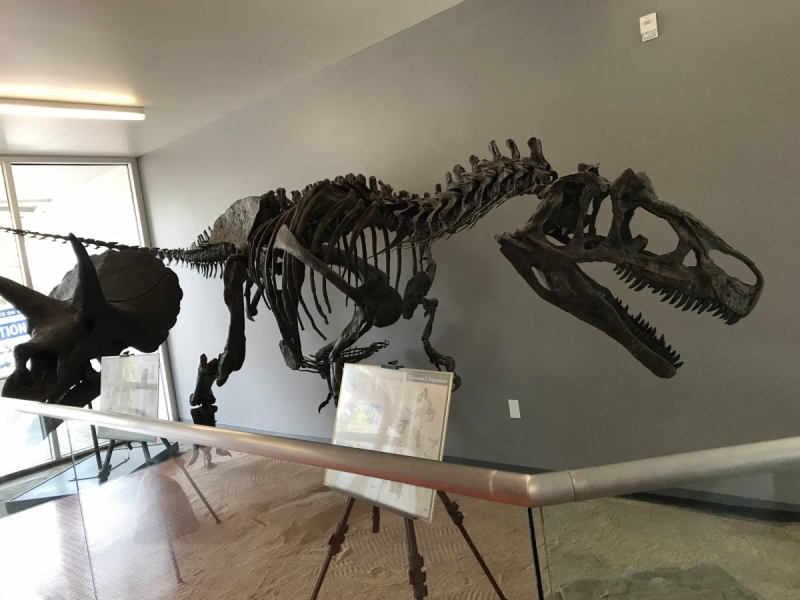 Большие города . Запад и Восток США