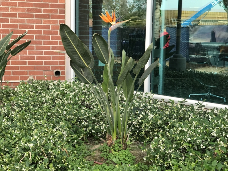 Большие города . Запад и Восток США