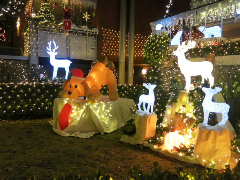 Рождественская сказка на выходные (декабрь 2016)