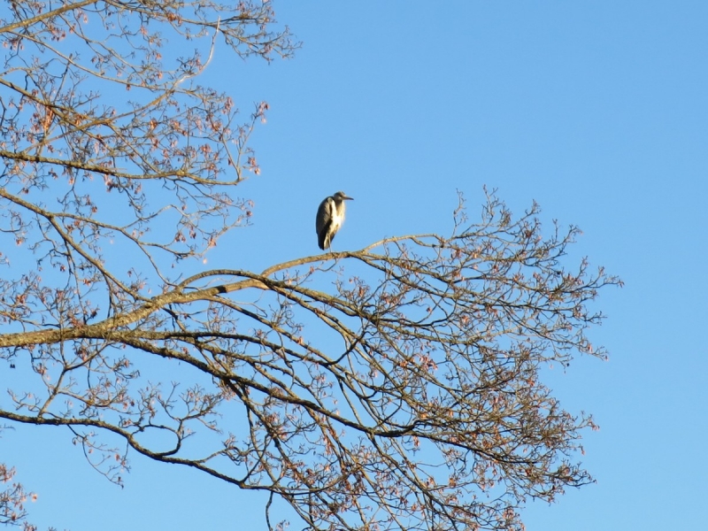 Рождественская сказка на выходные (декабрь 2016)