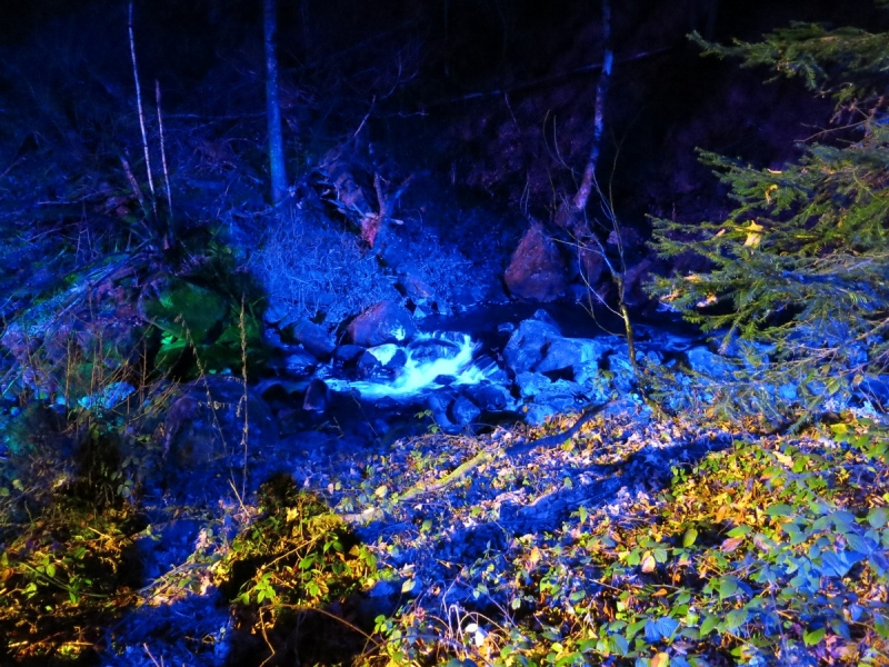 Рождественская сказка на выходные (декабрь 2016)