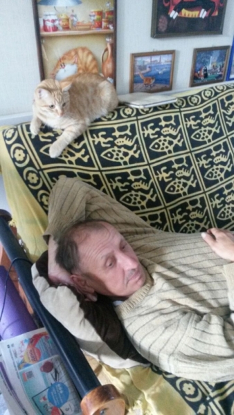 Кошки в нашей жизни. Кошки и все, что с ними связано.