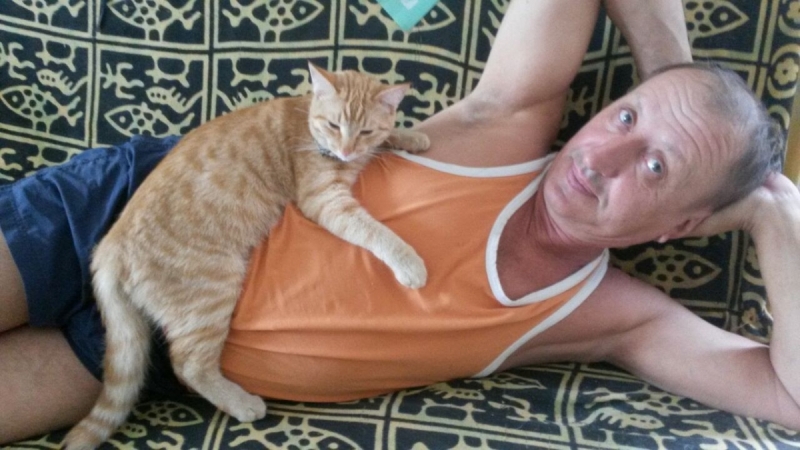 Кошки в нашей жизни. Кошки и все, что с ними связано.