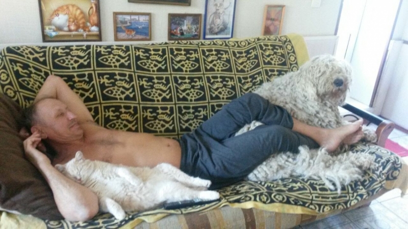 Кошки в нашей жизни. Кошки и все, что с ними связано.